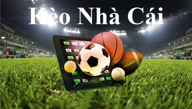 Cá Cược World Cup Chuyên Nghiệp - Dịch Vụ Premium