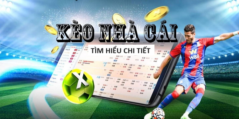 Phân Tích Bóng Đá Uy Tín - Từ Chuyên Gia Hàng Đầu